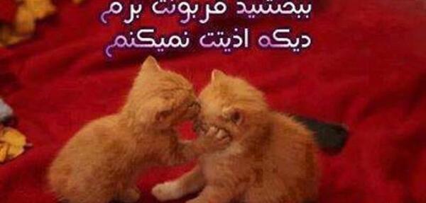 عکس عشقم ببخشید