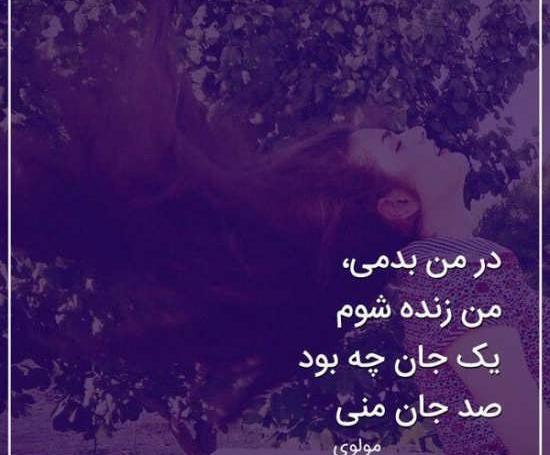 عکس نوشته عاشقانه مولانا