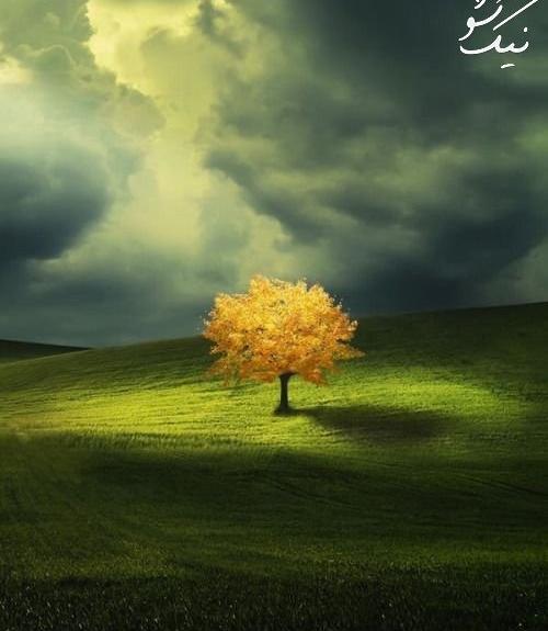عکس طبیعت مذهبی