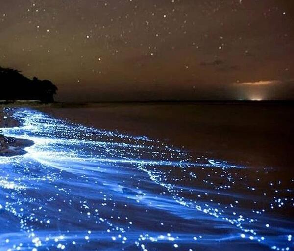 عکس شب و دریا