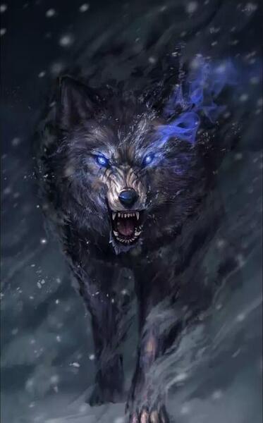 عکس پروفایل پسرانه گرگ