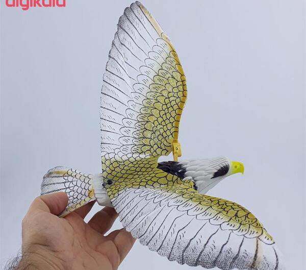 عکس عقاب کنترلی