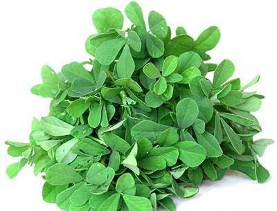 عکس برگ یونجه