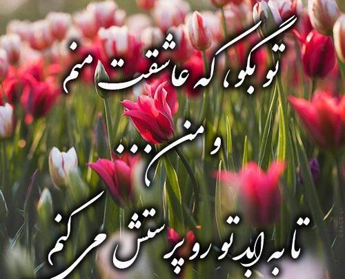 عکس عاشقی گل