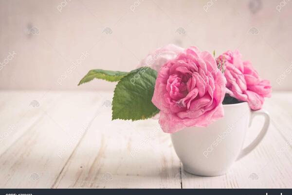 عکس رمانتیک صورتی