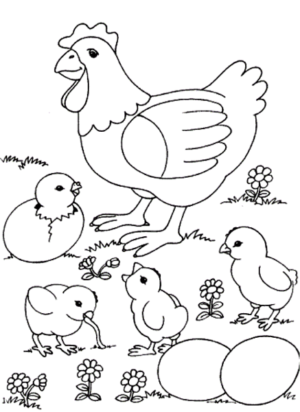عکس نقاشی جوجه