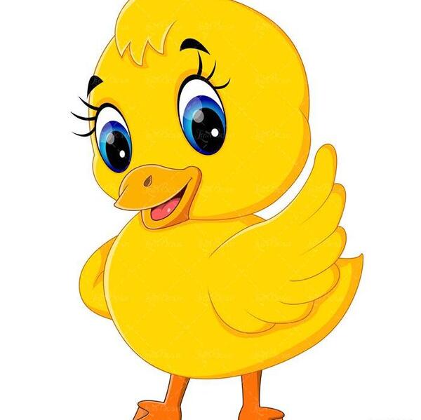 عکس نقاشی جوجه