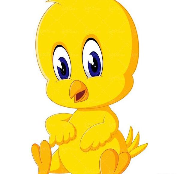 عکس نقاشی جوجه
