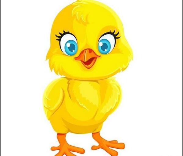 عکس نقاشی جوجه
