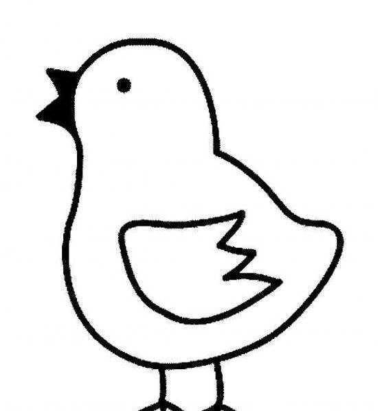 عکس نقاشی جوجه