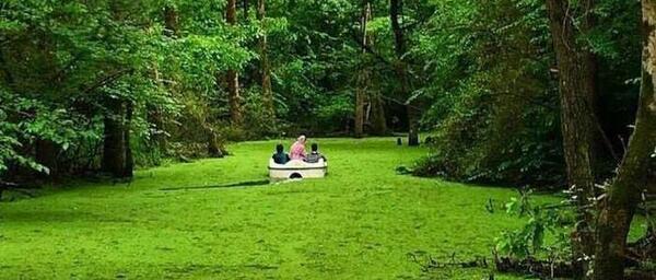عکس جاهای دیدنی گیلان com