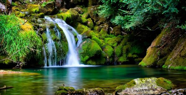 عکس زمینه طبیعت hd