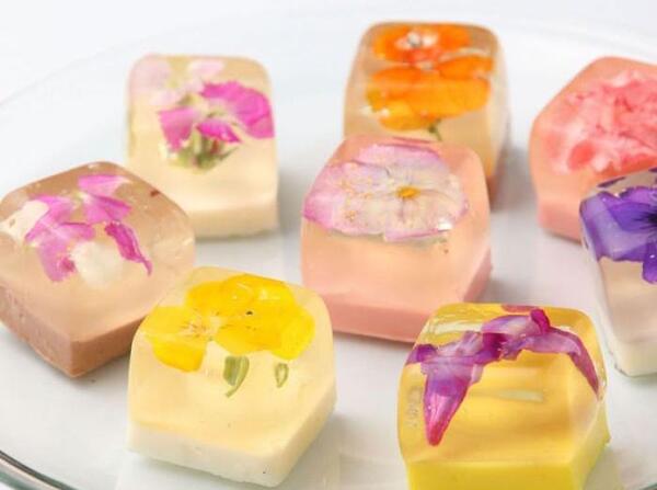بهترین عکس ژله