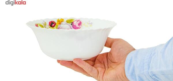 عکس کاسه ابگوشت خوری ارکوپال