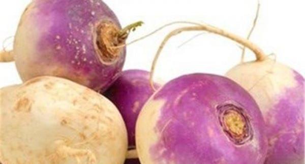 عکس آب شلغم