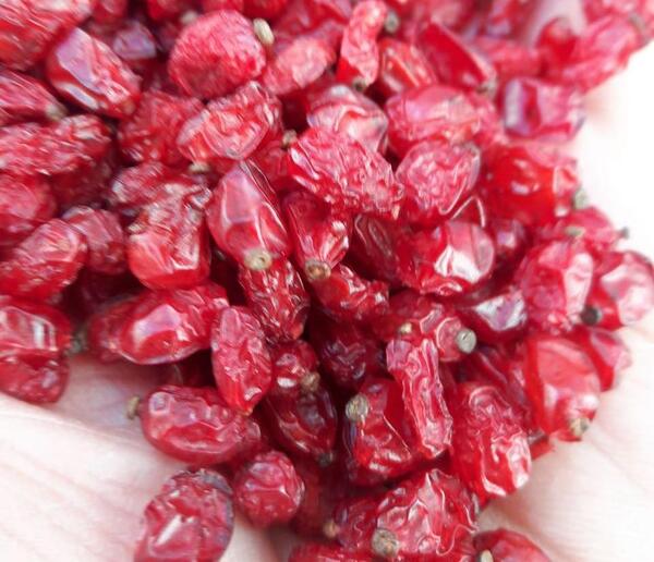 عکس زرشک دانه اناری