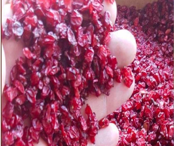 عکس زرشک دانه اناری