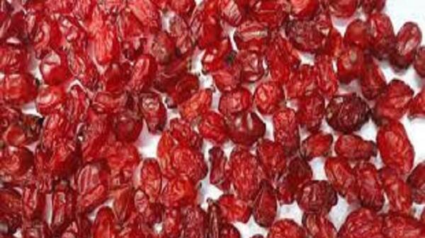 عکس زرشک دانه اناری