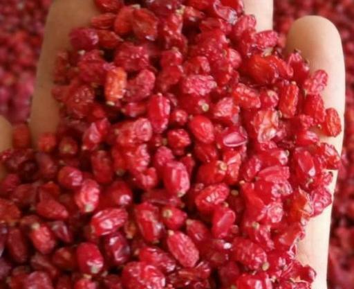 عکس زرشک دانه اناری