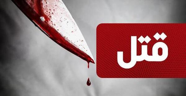 عکس نامزدی نگین شیخی