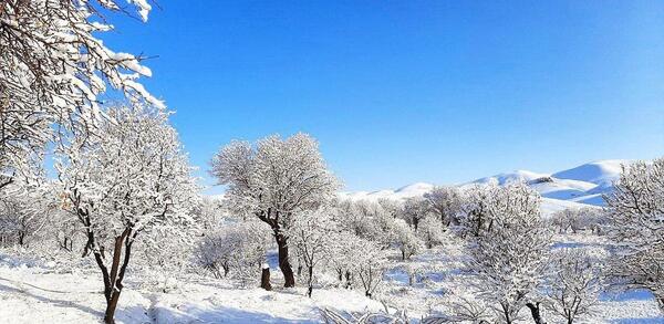 عکس روستای ضیاءآباد