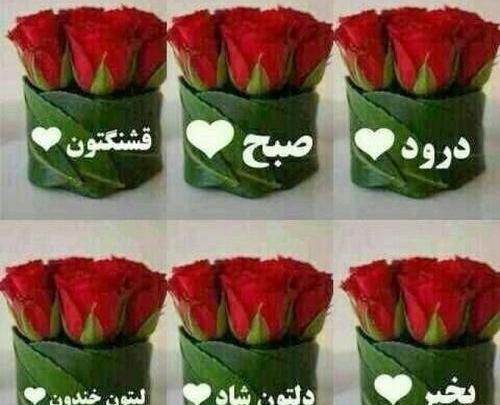عکس صبح بخیر معلم