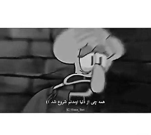 عکس سیاه سفید اختاپوس