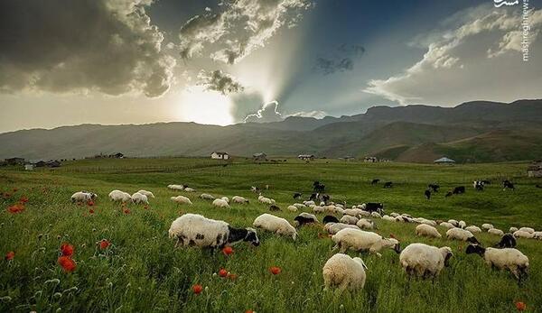 عکسهای زیبا از طبیعت تالش