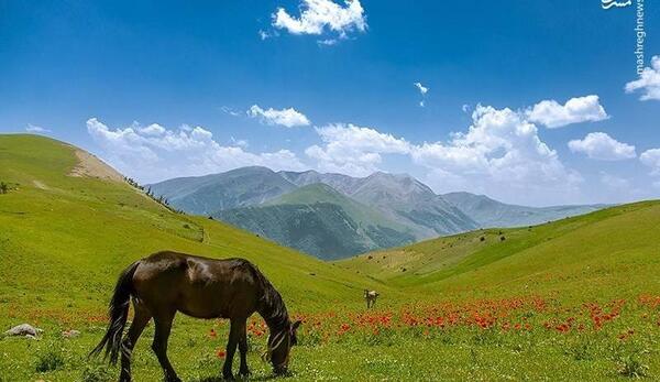 عکسهای زیبا از طبیعت تالش