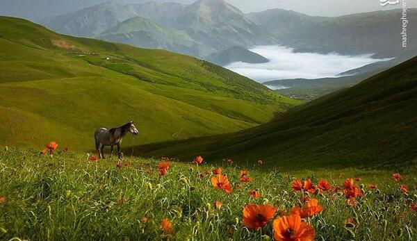 عکسهای زیبا از طبیعت تالش
