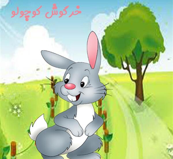 عکس خرگوش گوش کوتاه
