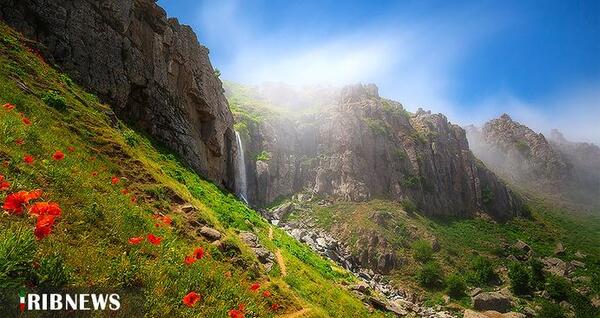 عکس تصویر طبیعی