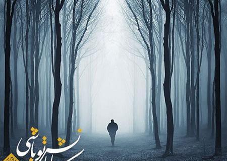 بهترین عکس ها