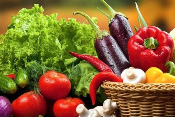 عکس کاشت صیفی جات