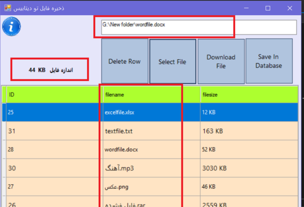 بهترین روش ذخیره عکس در دیتابیس