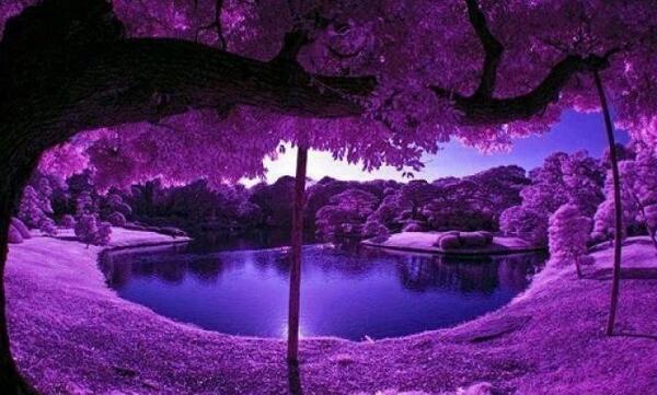 پرانرژی عکس طبیعت برای پروفایل