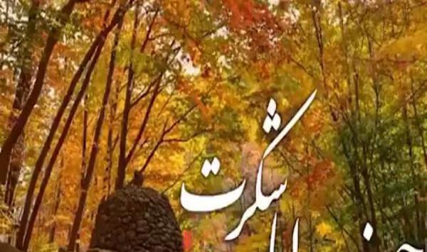 عکس استوری خدایا شکرت
