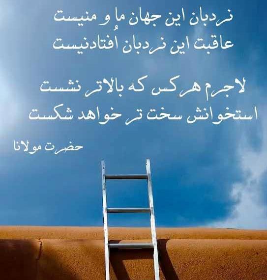 عکس افتادگی آموز اگر طالب فیضی