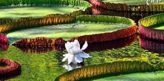 عکس جاهای دیدنی جهان