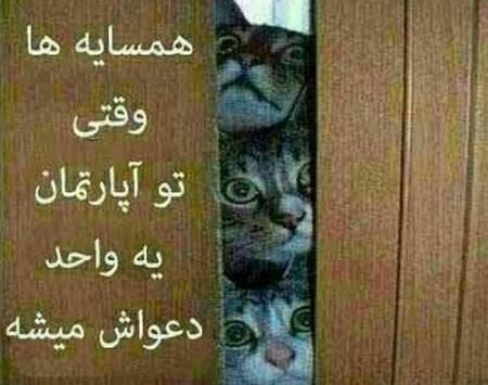 عکس ریشخندی