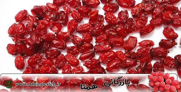 عکس زرشک بیرجند