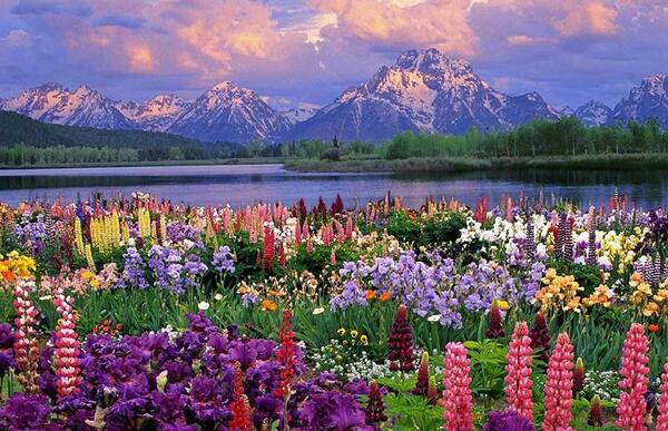عکس جاهای دیدنی زیبای ایران
