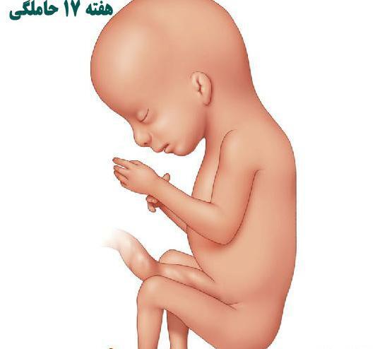 عکس بچه تو شکم