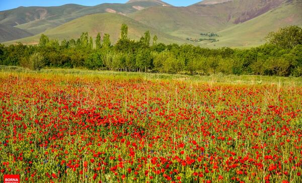 عکس روستای گوار اراک