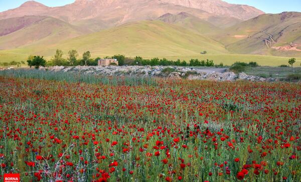 عکس روستای گوار اراک