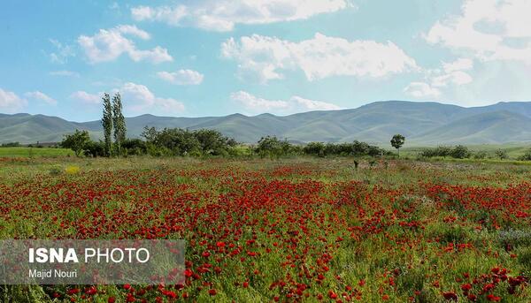 عکس روستای گوار اراک