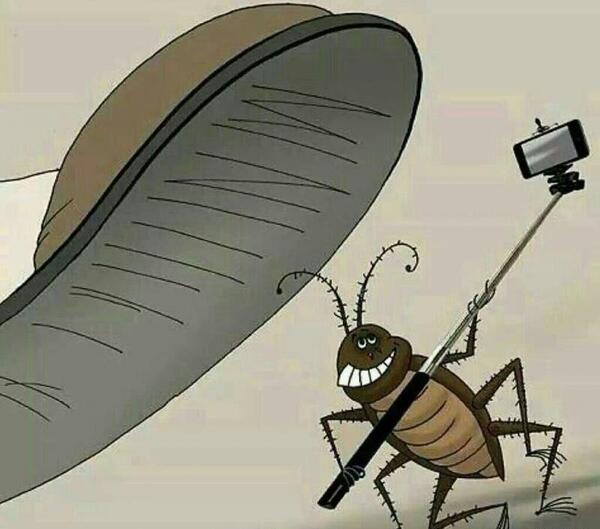 عکس سوسک طنز