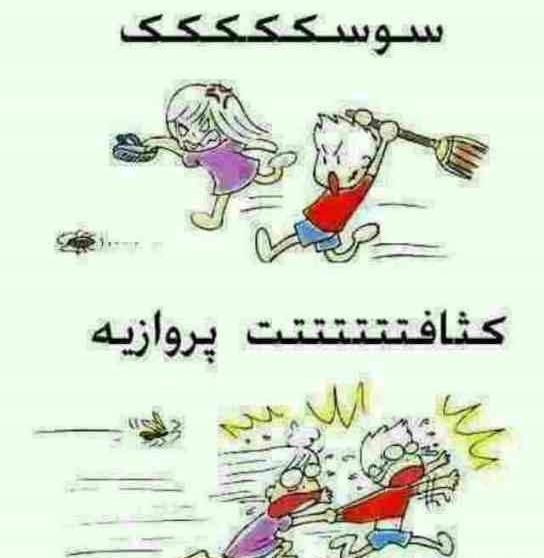 عکس سوسک طنز