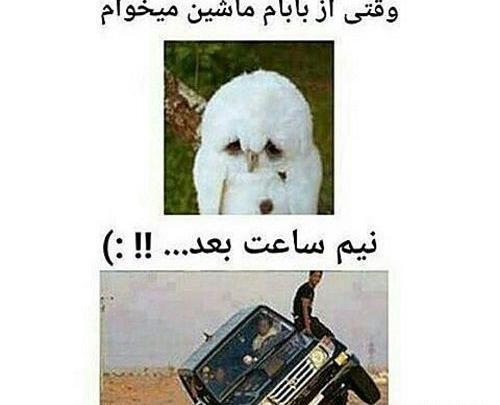 عکس های خنده دار یاس