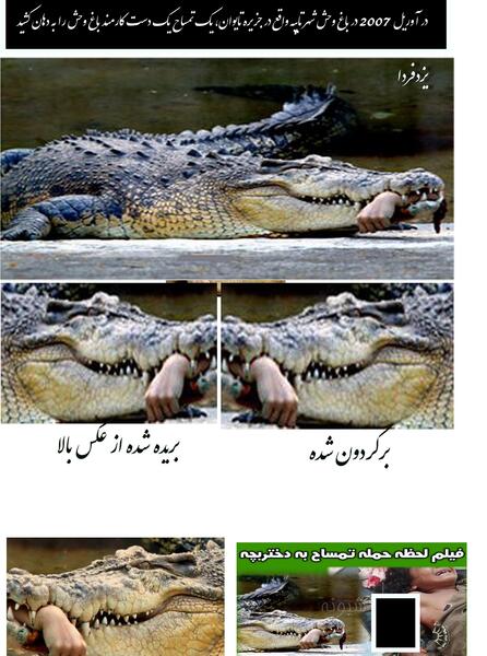 عکس حوا رئیسی